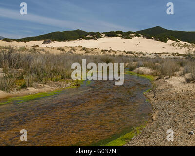 Piscinas, Dünen Landschaft, Costa Verde, Sardinien Stockfoto