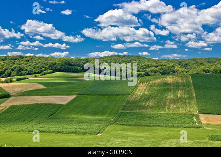 Schöne grüne Landschaft Landschaft im Frühling IV Stockfoto