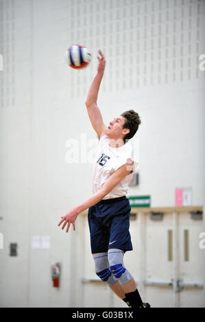 Player liefern eine Leistung dienen während der High School Volleyball übereinstimmen. USA. Stockfoto