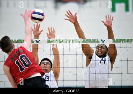 High School Spieler versucht, einen Volley mit einer Tötung Schuß über eine Sperrminorität Bemühen der beiden Gegner zu beenden. USA. Stockfoto