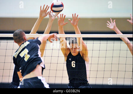 High School Spieler versucht, einen Volley mit einer Tötung Schuß über eine Sperrminorität Bemühen der beiden Gegner zu beenden. USA. Stockfoto