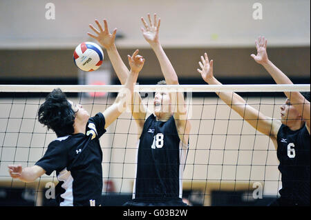 High School Spieler versucht, einen Volley mit einer Tötung Schuß über eine Sperrminorität Bemühen der beiden Gegner zu beenden. USA. Stockfoto