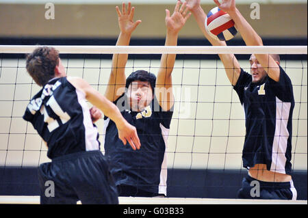 High School Spieler versucht, einen Volley mit einer Tötung Schuß über eine Sperrminorität Bemühen der beiden Gegner zu beenden. USA. Stockfoto