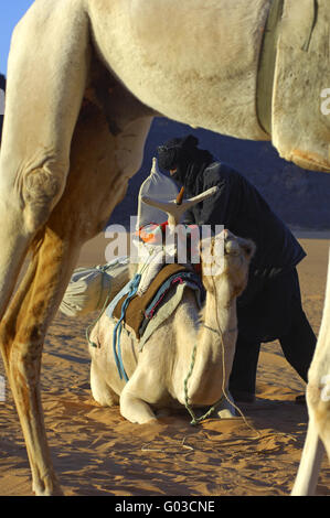 Tuareg-Nomaden und Dromedare in der Wüste Sahara Stockfoto