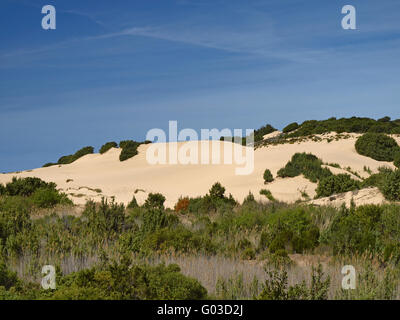 Piscinas, Dünen Landschaft, Costa Verde, Sardinien Stockfoto