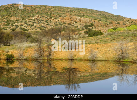 Wasserspiegelungen, Northern Cape, Südafrika Stockfoto