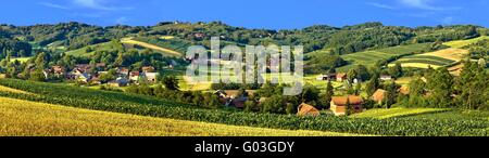 Grüne Landschaft Dorf Landschaft, mit Mais und Heu Felder Stockfoto