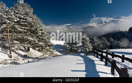 Winter Landschaft Baum saisonale Schneeberg Stockfoto
