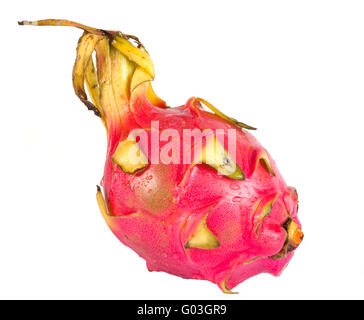 Pitaya Drachenfrucht isoliert auf weißem Hintergrund Stockfoto