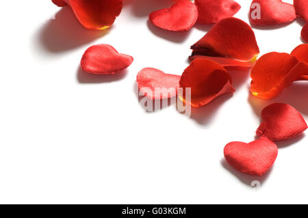 Frische Rosenblätter und kleine Herzen auf weißem Hintergrund Stockfoto
