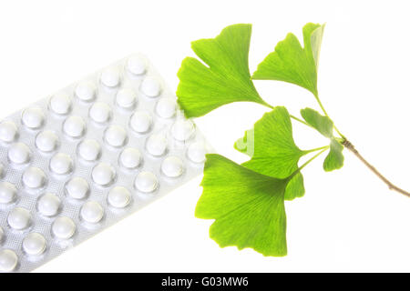 Blätter des Ginkgo-Baum und Dragees Stockfoto