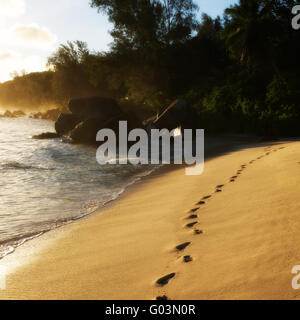 Footprints in the Sand, Seychellen Stockfoto