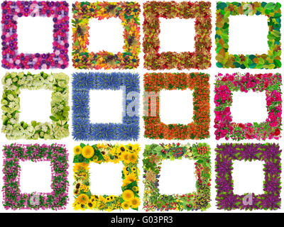 Einfache digitale Bilderrahmen aus Blumen und Pflanzen Platz.  Isoliert auf weißen abstrakten handgefertigte Collage. Alle voller Größe Bilder Sie c Stockfoto