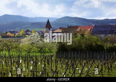 Blick auf den Storchenturm, Saint-Hippolyte, Alsace Stockfoto