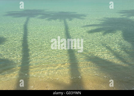 Chinesische Schatten auf Siam Strand von Koh Kut Stockfoto