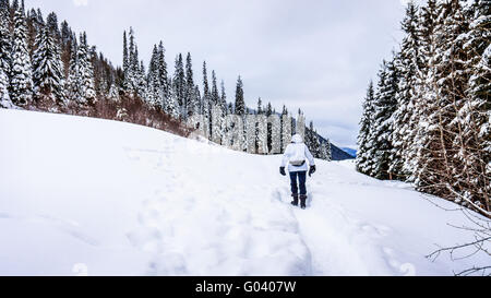 Ältere Frau zu Fuß durch einen tiefen Schneedecke bei Sun Peaks Skigebiet Dorf in der Shuswap Hochland von British Columbia, Kanada Stockfoto