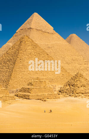 Touristisches Reiten Kamel Basis Giza Pyramiden Ägypten Stockfoto