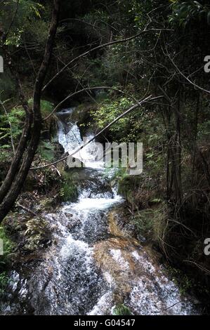 Wasserfall Stockfoto
