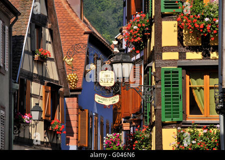 Fachwerkhäuser, Altstadt, Grand Rue, Ribeauvillé, Elsass, Frankreich Stockfoto