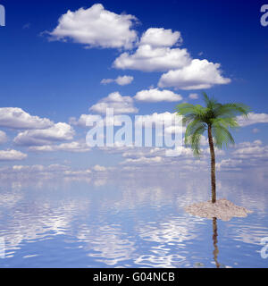 einzelne Palmen auf der Insel mit einem schönen Blick aufs Meer und Himmel Stockfoto