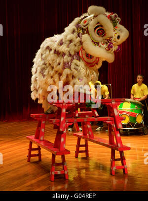 MACAU - 25 APRIL: Der traditionelle chinesische Löwentanz auf der Bühne Stockfoto