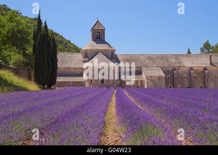 Sénanque Abbey ist ein Zisterzienser-Abtei in der Nähe des Dorfes Gordes im Département Vaucluse in der Provence, Frankreich. Stockfoto
