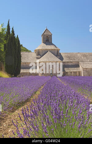 Sénanque Abbey ist ein Zisterzienser-Abtei in der Nähe des Dorfes Gordes im Département Vaucluse in der Provence, Frankreich. Stockfoto