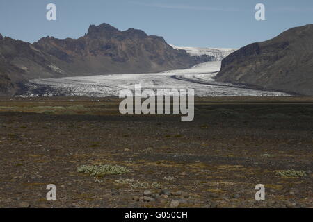 Skaftafellsjökull gehört zu den Outlet-Gletscher (Gletscherzungen) der Vatnajökull-Eiskappe. Skaftafell Stockfoto