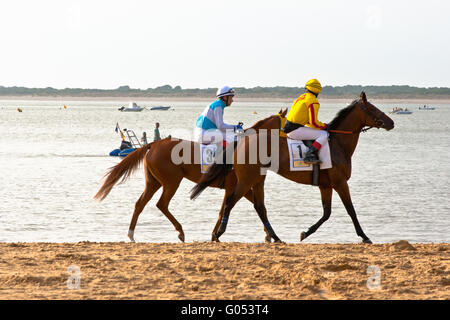 Pferderennen auf Sanlucar Barrameda, Spanien, August Stockfoto