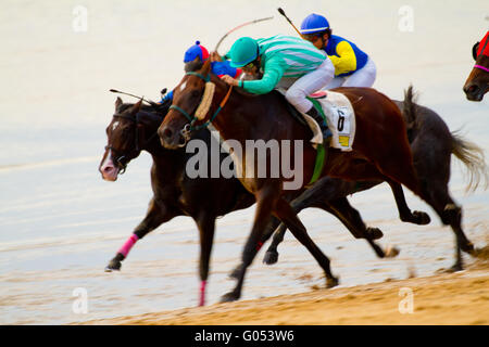 Pferderennen auf Sanlucar Barrameda, Spanien, August Stockfoto