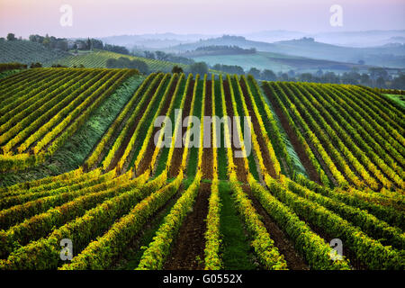 Chianti-Landschaft in der Nähe von Lilliano, Toskana, Italien Stockfoto