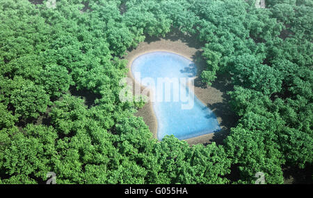 kleines Schlüsselloch geformten Teich, umgeben von einem Wald Stockfoto