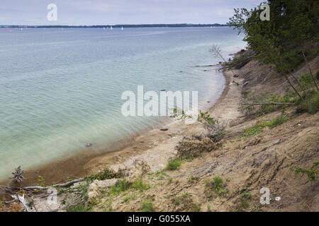 Umgestürzte Bäume auf dem Steilufer Brodtener, Baltic S Stockfoto