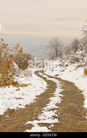 Herbstzeit: bunte Blätter des Baumes mit Schnee bedeckt Stockfoto