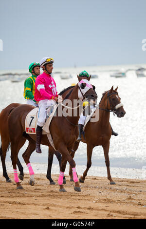 Pferderennen auf Sanlucar Barrameda, Spanien, August Stockfoto