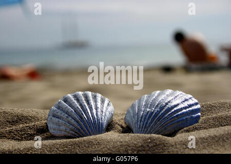 2 silberne Muscheln am Strand Stockfoto