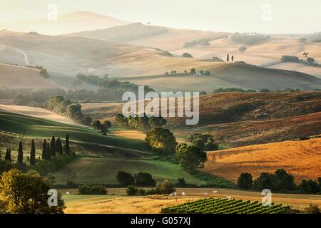 Rural countryside landscape in Tuscany region of Italy Stockfoto