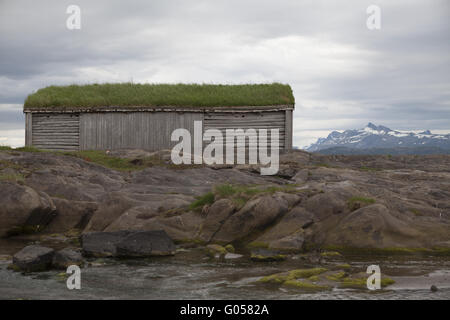 Skandinavische Kabine mit Dach des Grases, Bodo, Norwegen Stockfoto