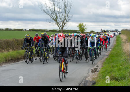 Das Hauptfeld der Fahrer auf der Bühne eines Tour-de-Yorkshire zwischen Beverley und South Dalton in East Yorkshire Stockfoto