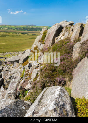 Die antike Stätte von Carn Goedog in den Preseli-Bergen - wo die Blausteine stammen, die Stone Henge - Pembrokeshire gebaut Stockfoto