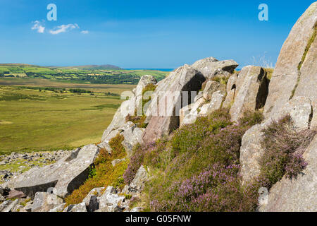 Die antike Stätte von Carn Goedog in den Preseli-Bergen - wo die Blausteine stammen, die Stone Henge - Pembrokeshire gebaut Stockfoto