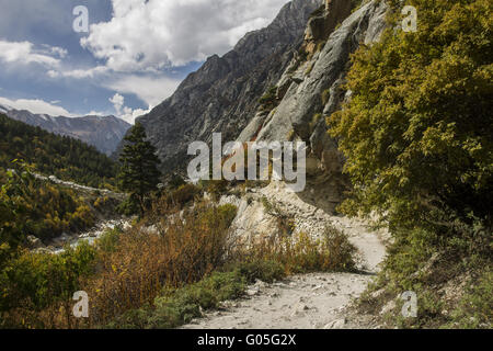 Weg in das Tal des Bhagirathi Stockfoto