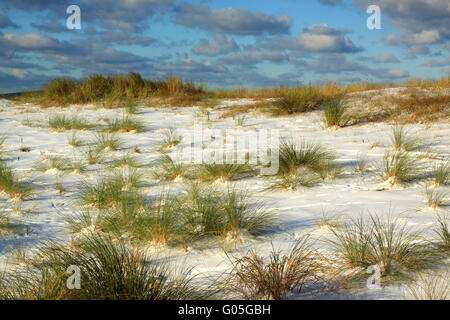 Der weiße Strand. Deutschland Stockfoto