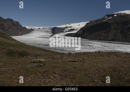 Skaftafellsjökull gehört zu den Outlet-Gletscher (Gletscherzungen) der Vatnajökull-Eiskappe. Skaftafell Stockfoto