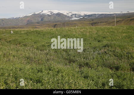 Mýrdalsjökull Eiskappe - ist der vierte größte Gletscher in Island mit einer Fläche von ca. 600 km Mýrdalshreppur mun Stockfoto