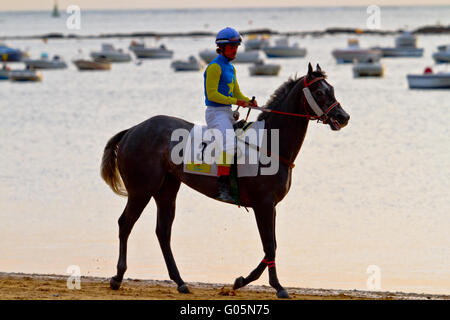 Pferderennen auf Sanlucar Barrameda, Spanien, August Stockfoto