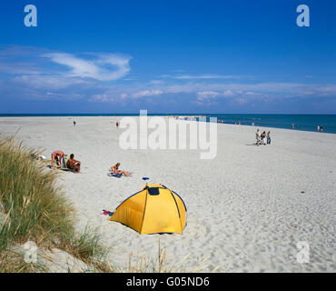 Strand in Grenen in der Nähe von Skagen, Nordjütland, Dänemark, Skandinavien, Europa Stockfoto