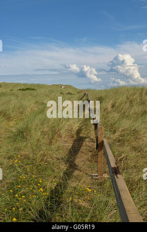 "Bjerregård Strand" Bjerregård. Hvide Sande. Westjütland. Dänemark Europa Stockfoto