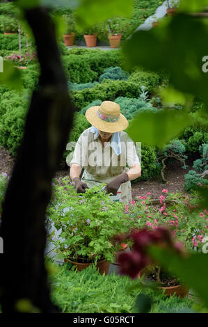 Gärtner in der National Arboretum. Washington, DC. USA Stockfoto