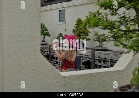 Bonsai und Penjing Museum an die National Arboretum. Washington, DC. USA Stockfoto